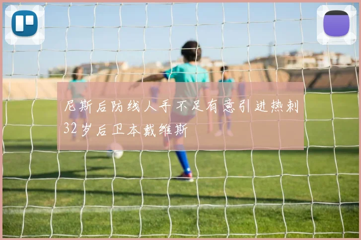 尼斯后防线人手不足有意引进热刺32岁后卫本戴维斯