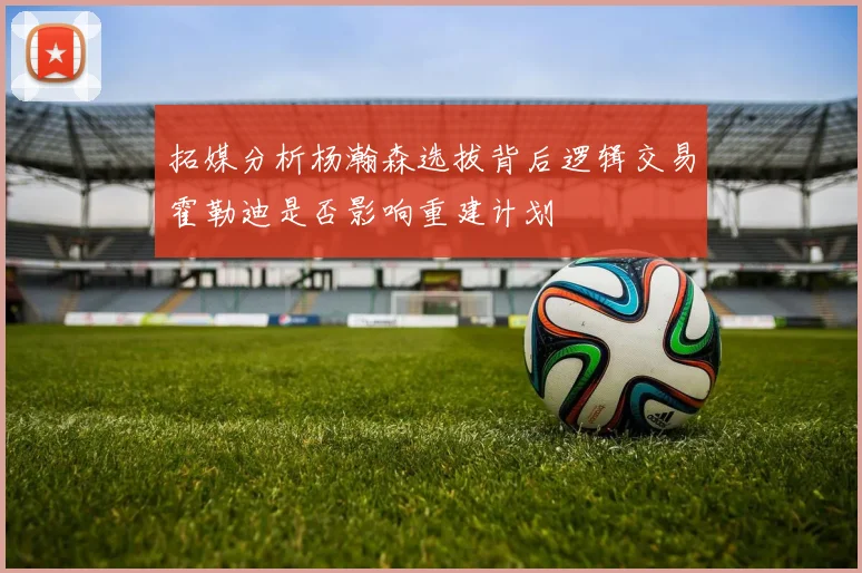 拓媒分析杨瀚森选拔背后逻辑交易霍勒迪是否影响重建计划