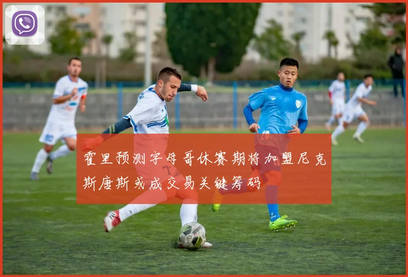 霍里预测字母哥休赛期将加盟尼克斯唐斯或成交易关键筹码