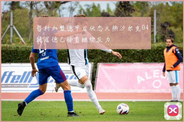 哲科加盟德甲后状态火热沙尔克04稳居德乙榜首继续发力