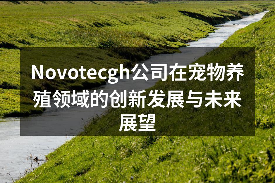 Novotecgh公司在宠物养殖领域的创新发展与未来展望
